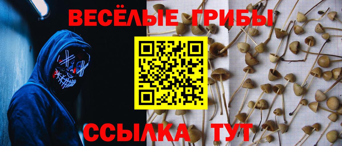 даркнет сайт  Вход с VPN  Дубна  Псилоцибиновые грибы Cubensis 